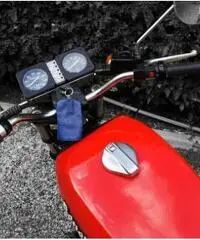 Benelli 750 Sei, Perfetta, Tagliandata e revisionata Benelli 750 Sei, Perfetta, Tagliandata e revisionata