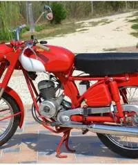 Benelli Leoncino Benelli Leoncino