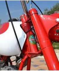 Benelli Leoncino Benelli Leoncino