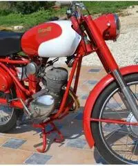 Benelli Leoncino Benelli Leoncino