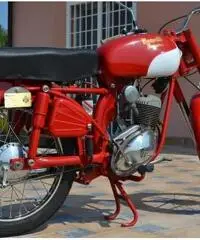 Benelli Leoncino Benelli Leoncino