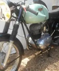 bianchi tonale bianchi tonale