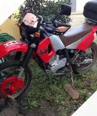 Cagiva Altro modello - 1993 Cagiva Altro modello - 1993