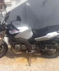 Cagiva river 500