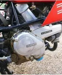 Ducati Pantah 500 Desmo, Perfetta, tagliandata Ducati Pantah 500 Desmo, Perfetta, tagliandata