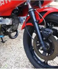Ducati Pantah 500 Desmo, Perfetta, tagliandata Ducati Pantah 500 Desmo, Perfetta, tagliandata