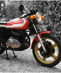Ducati Sport 500 Desmo, Iscritta ASI Ducati Sport 500 Desmo, Iscritta ASI
