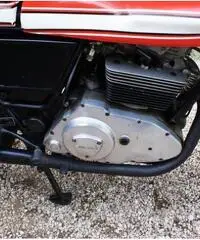 Ducati Sport 500 Desmo, Iscritta ASI Ducati Sport 500 Desmo, Iscritta ASI