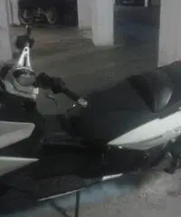 GILERA GP tipo veicolo Sportive cc 800 GILERA GP tipo veicolo Sportive cc 800