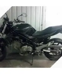Gladius 650 anno 4/2014