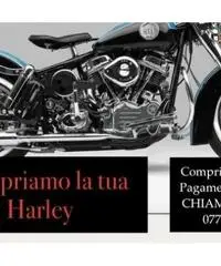 HARLEY-DAVIDSON 1200 Sportster Forty-Eight A.c.q.u.i.s.t.i.am.o HARLEY-DAVIDSON 1200 Sportster Forty-Eight A.c.q.u.i.s.t.i.am.o