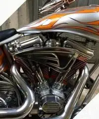 Harley Davidson Special Arlen Ness Harley Davidson Special Arlen Ness