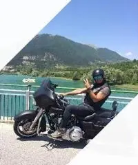 Harley-Davidson Touring Street Glide - 2011