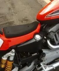 harley xr 1200