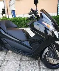 HONDA Forza PASSAGGIO E GARANZIA INCLUSO HONDA Forza PASSAGGIO E GARANZIA INCLUSO