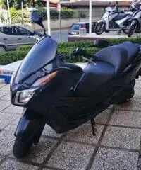 HONDA Forza PASSAGGIO E GARANZIA INCLUSO HONDA Forza PASSAGGIO E GARANZIA INCLUSO