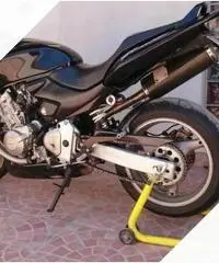 Honda hornet
