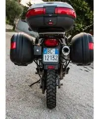 Honda XL 650 V Transalp anno 2001