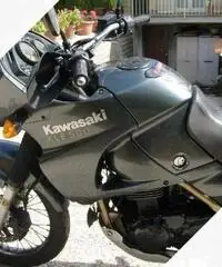 Kawasaki KLE 500 - 2007 Kawasaki KLE 500 - 2007