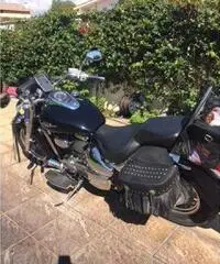 maestosa Suzuki Vl800 , custom