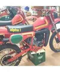 Maico 250 Alpha 1 1982 Maico 250 Alpha 1 1982