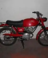 Moto Guzzi Dingo 50 GT 1972