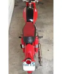 Moto Perugina 175 GT del 1953 Aermacchi MV Augusta Moto Guzzi Moto Perugina 175 GT del 1953 Aermacchi MV Augusta Moto Guzzi