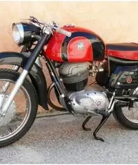 MV Agusta 250 Raid, Perfetta, Sempre garage MV Agusta 250 Raid, Perfetta, Sempre garage