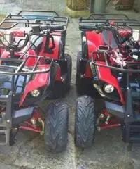 Quad 125cc ruote da 8' con retromarcia ragazzi o adulti fuoristrada