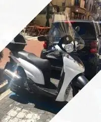 Sh 300 sport Sh 300 sport