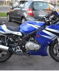SUZUKI GS 500 F 2oo5 Km 9.800 €. 1.700 Permute Garanzia SUZUKI GS 500 F 2oo5 Km 9.800 €. 1.700 Permute Garanzia