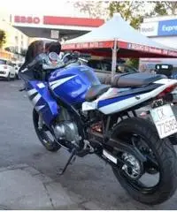 SUZUKI GS 500 F 2oo5 Km 9.800 €. 1.700 Permute Garanzia SUZUKI GS 500 F 2oo5 Km 9.800 €. 1.700 Permute Garanzia