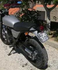 suzuki xf freewind 650 special scrambler