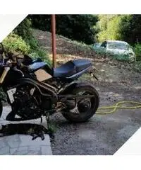 Triumph Speed Triple - 2006 Triumph Speed Triple - 2006