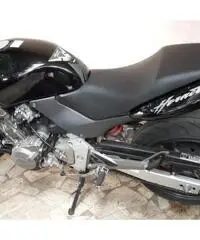 vendo Hornet 600 11.000 km nessun difetto sempre tenuta in garage vendo Hornet 600 11.000 km nessun difetto sempre tenuta in garage