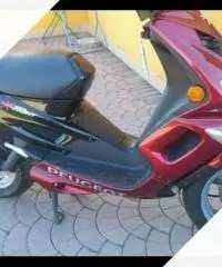 Scuter