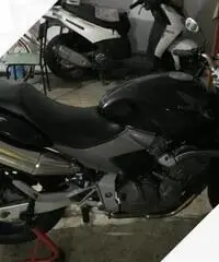 Honda hornet