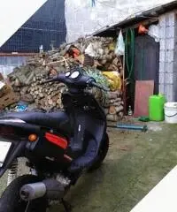 Beta Ark - 2012 Beta Ark - 2012