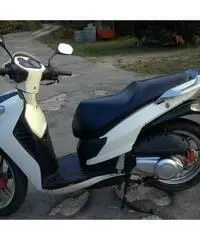 Bellini 150cc Bellini 150cc