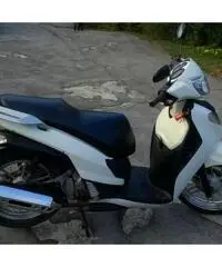 Bellini 150cc Bellini 150cc