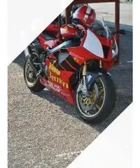 Honda VTR 1000 - 2001