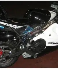 MiniMoto 50 Speed MiniMoto 50 Speed