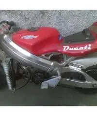 Minimoto raffreddata a liquido, motore 50cc Minimoto raffreddata a liquido, motore 50cc