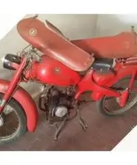 Motom Altro modello - Anni 70