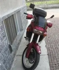 Pegaso 650