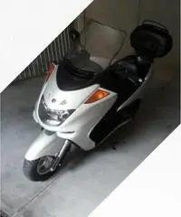 Yamaha Majesty 250 - 2000