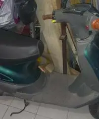 Vendo zip del 92