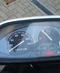 Gilera Thypoon griffato Benetton Gilera Thypoon griffato Benetton