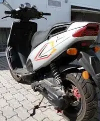Malaguti phantom