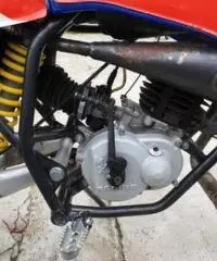 Beta 50